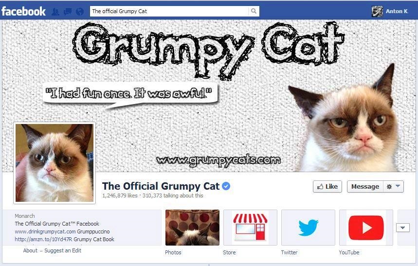 Grumpy cat official Facebook internet celebrity Tardar Sauce face expressions feline dwarfism photos 1million Likes 2013