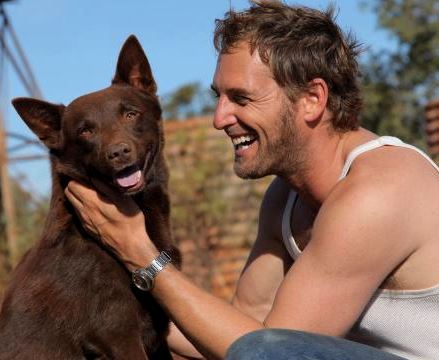 Josh Lucas Koko Kelpie Red Dog movie photo Australia cattle dog smiling male actor