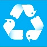 International World Day of Peace 3 flying white Doves triangle torquise graphic design logo United Nations emblem