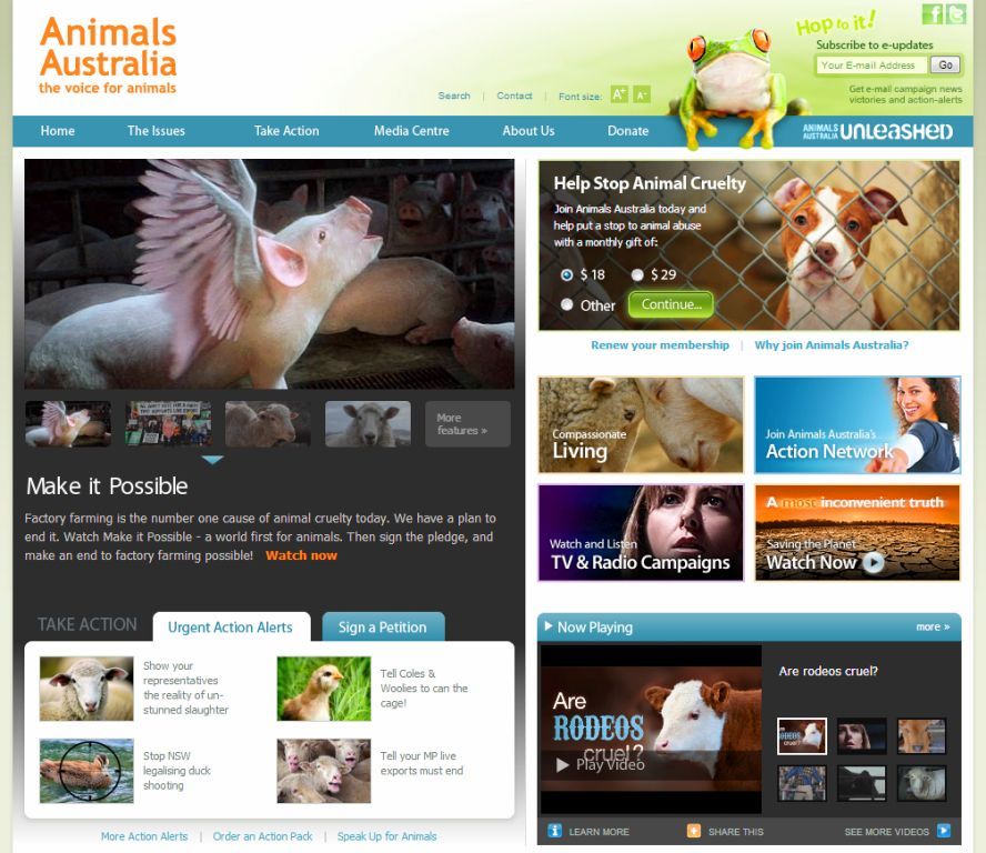 Animals Australia.org official website The voice for animlas flying pig make it possible green frog stop cruelty