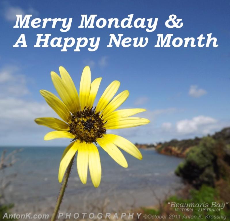 Merry Monday & a Happy New Month yellow flower Beaumaris Port Phillip Bay Mentone Beach blue sky water clouds AntonK