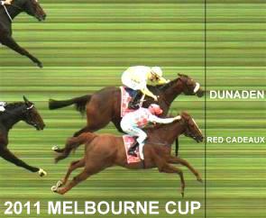 Dunaden & Red Cadeaux Photo finish 2011 Melbourne Cup horse race horses racing across the line