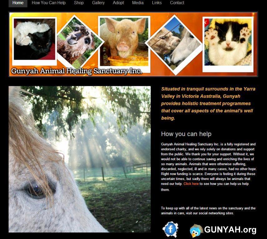 Gunyah.org website Animal Healing Sanctuary home adopt animals Australia cats horses pigs alpacas help donate charity