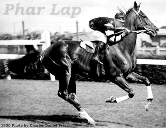 Phar Lap jockey Jim Pike riding Flemington race track 1930 Melbourne Cup horse racing Charles Daniel Pratt photo