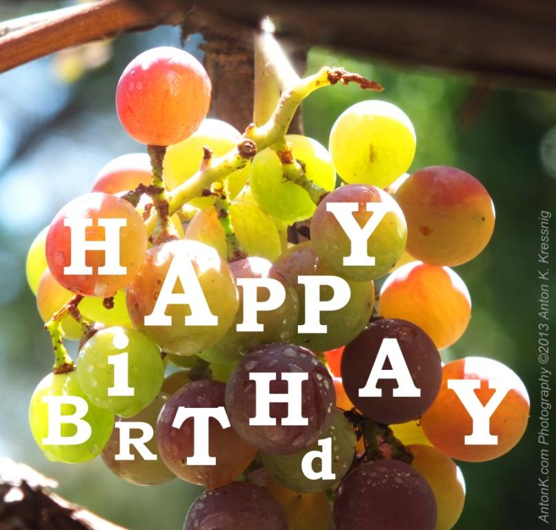 Happy Birthday Summer wine grapes vineyard colours photo by Anton K for Kylee 6th February 2013