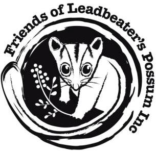 Friends of Leadbeater's Possum inc Logo artwork cute animal drawing threatened species
