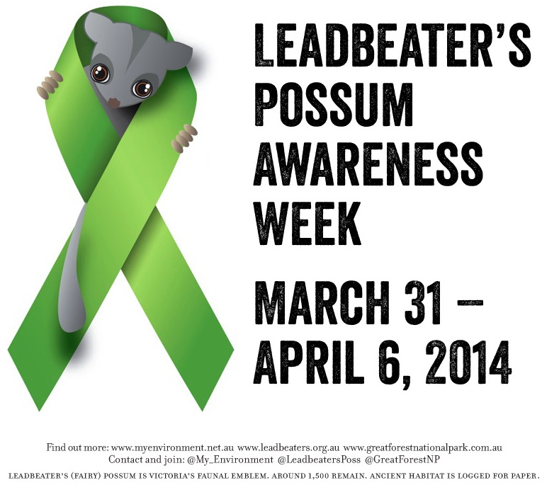 Leadbeater’s Possum Awareness Week 2014 endangered cute Fairy Possums green ribbon emblem logo