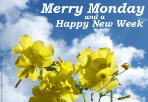 Merry Monday & Happy New Week greeting yellow flowers blue sky clouds photo by Anton K