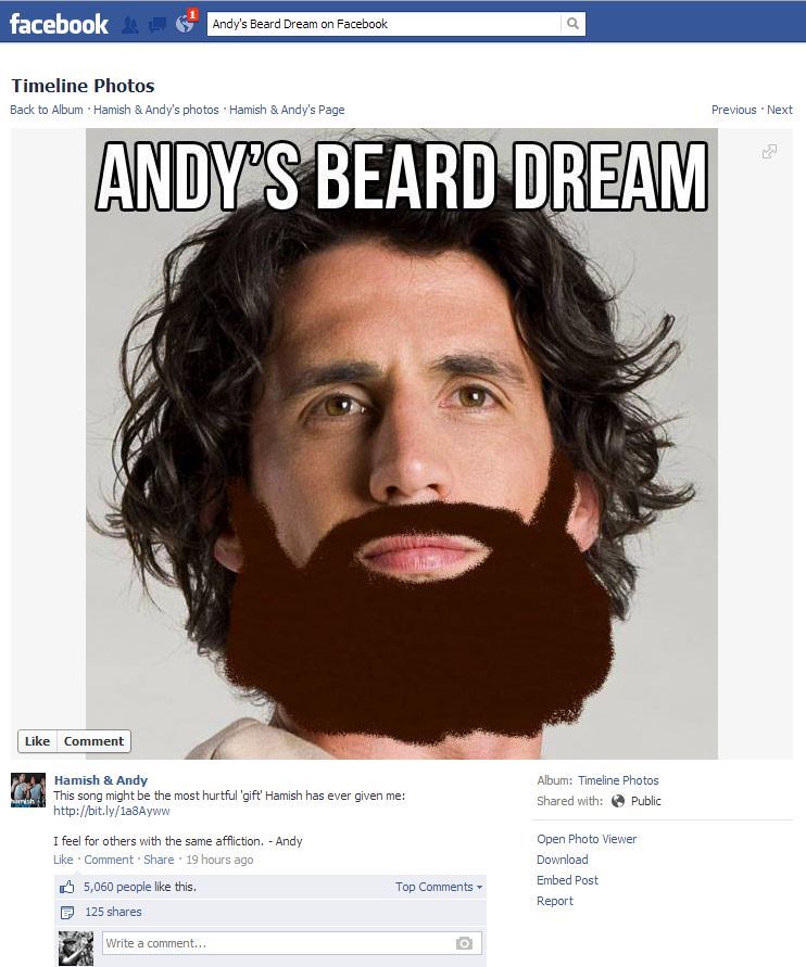 Andys Beard Dream Facebook page over 5000 likes post Hamish & Andy Lee growing beards photo upload 2013