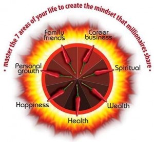 Master 7 areas of life millionaires Career business Spiritual Wealth Health Happiness Persona growth Family friends