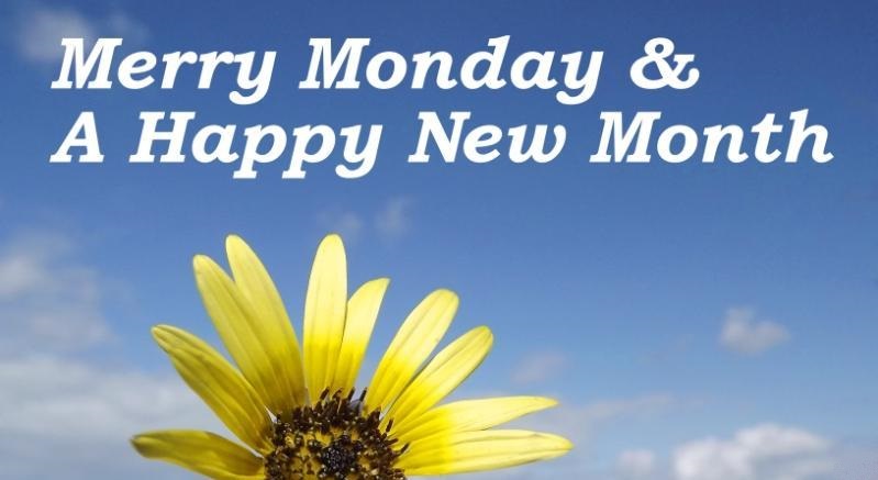 Merry Monday & a Happy New Month yellow flower blue sky clouds AntonK