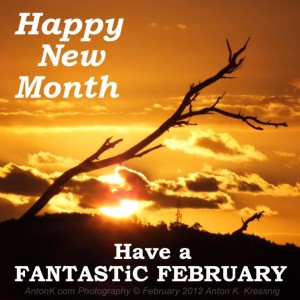 Happy New Month Have a Fantastic February Lysterfield Hills sunset tree greeting meme photo